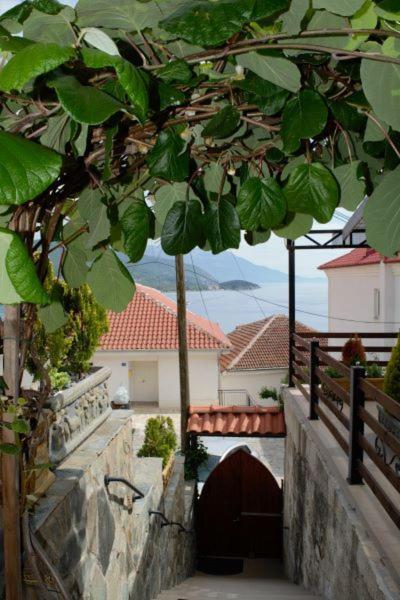 Villa Scandik Ohri Dış mekan fotoğraf