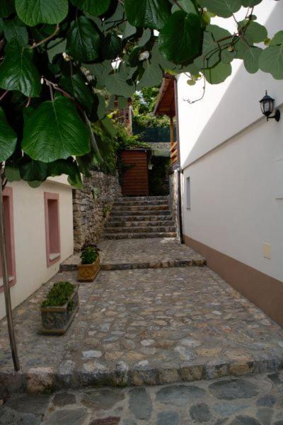 Villa Scandik Ohri Dış mekan fotoğraf